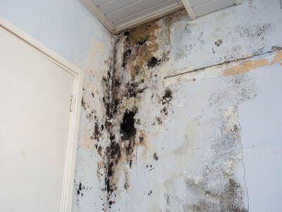 About Portland OR Water Damage Restoration - water damage restoration experts in Portland, OR